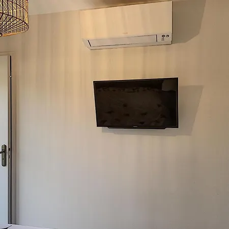 Vue Panoramique 298l Mast Cannes